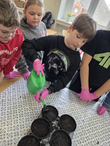 fe45e1f7-f654-42e4-a4f2-16b7dcf64180.jfif