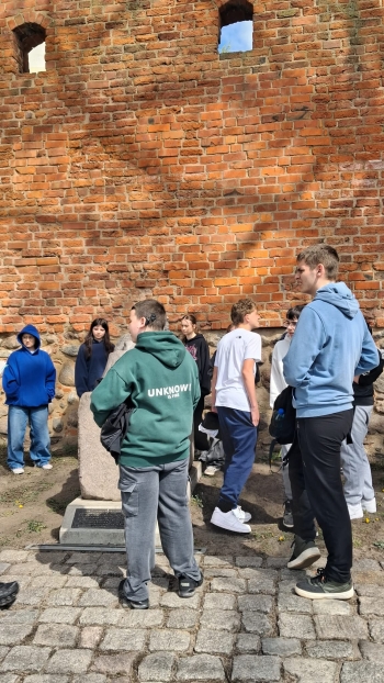 0e167ce1-52db-40bd-bb32-9669a661fb10.jfif