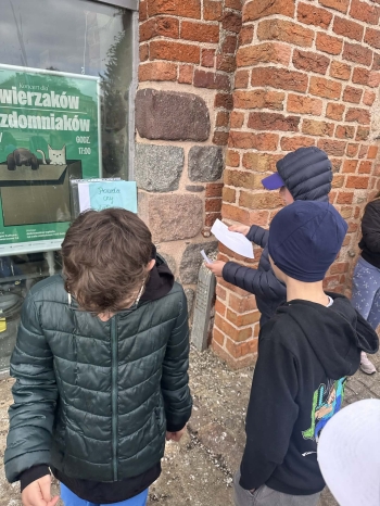 56beebc2-b48b-4ff9-a090-8f8cadf081a3.jfif