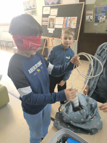 73d9a8b1-30d9-4f72-ae92-8b3a5088db89.jfif