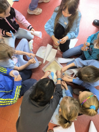 84d68e51-2612-403f-a4f2-803c8752a34c.jfif