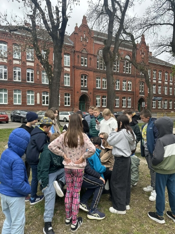 134e10e6-cd26-4d16-83da-4504b34a6522.jfif