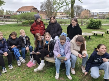 7846623a-8b99-466b-acde-11c557183fb3.jfif