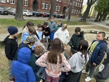 f546c38b-8fec-4233-a9a6-7d2e140aabb2.jfif