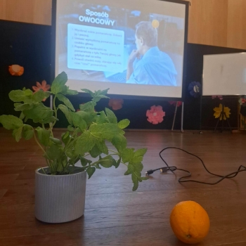 8a78c886-9e68-4564-a1f8-aeb0665a75d2.jfif