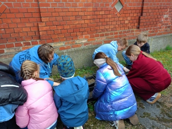 03e10ad3-7763-4ccf-a293-9564261fa546.jfif