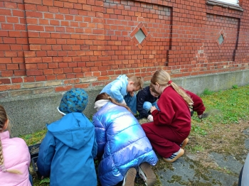 4d07593a-e50a-4941-b4a3-e340e36a926d.jfif