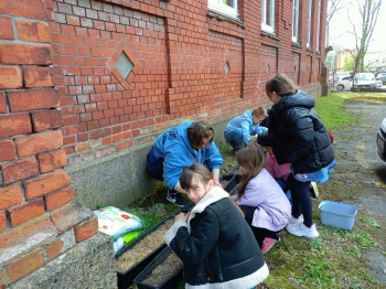 75e473c4-6af5-49fc-8297-57f4211d3433.jfif