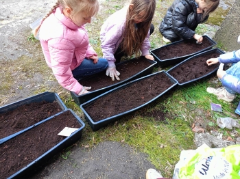 4122fc39-77a7-4573-9339-80c12e778e03.jfif