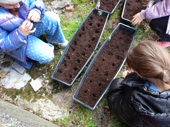 bb56cb13-cfca-4f27-bb10-05dc4841c21a.jfif