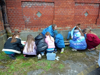 bb0bb866-a253-4db0-bde8-3766d77726a9.jfif