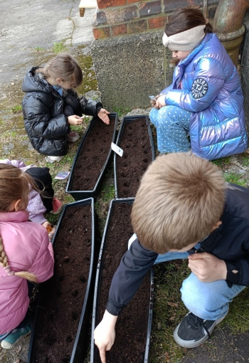 d27e6f8c-08a1-4298-9724-a7c36182c289.jfif