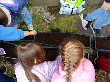 d886848c-3241-4b5c-9d9a-f235c67e3a7a.jfif