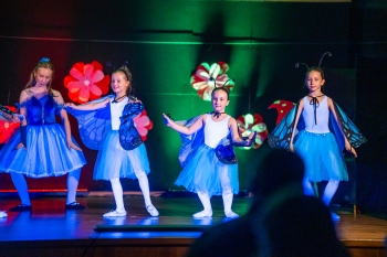 4IV03415