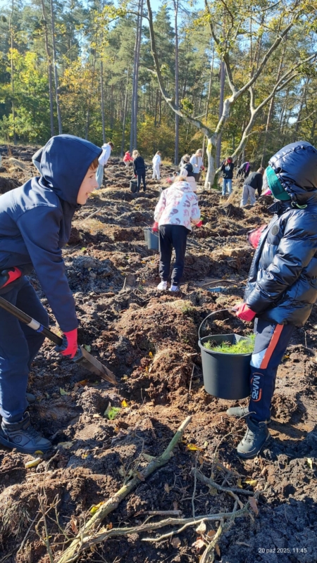  Sadzenie lasu- klasa 4c ❤️