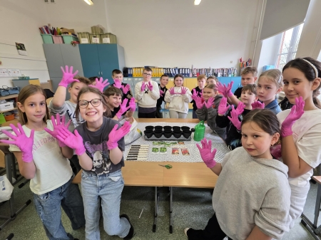 Nasz  mały ogródek... Klasa 3D